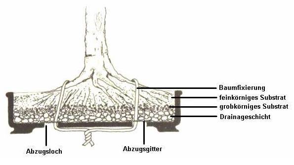 Schalenaufbau.jpg