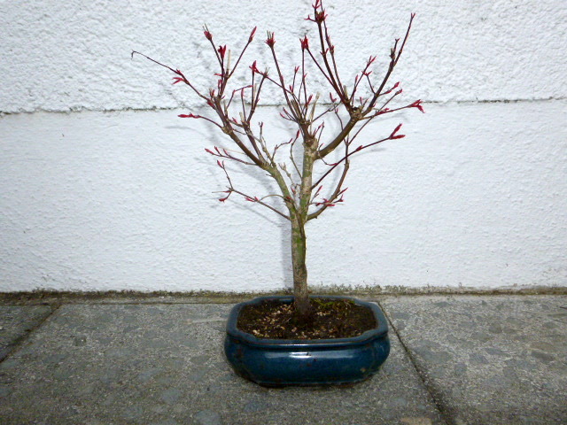 P1010201.JPG