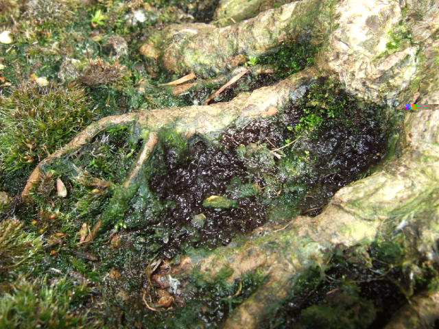 DSCF3178.JPG