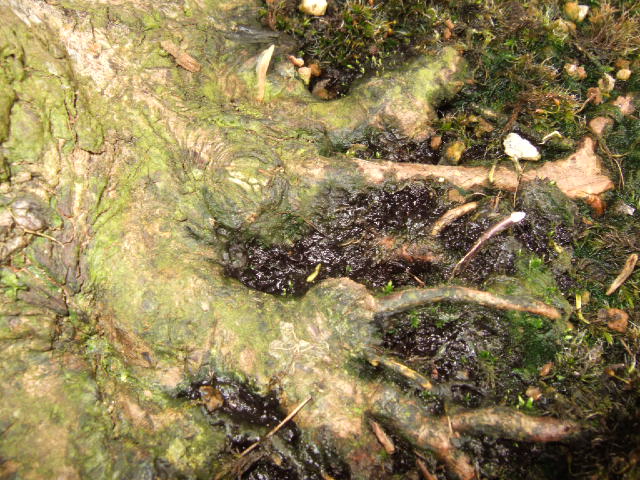 DSCF3179.JPG