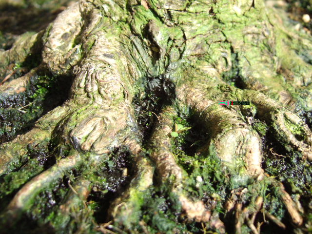 DSCF3180.JPG