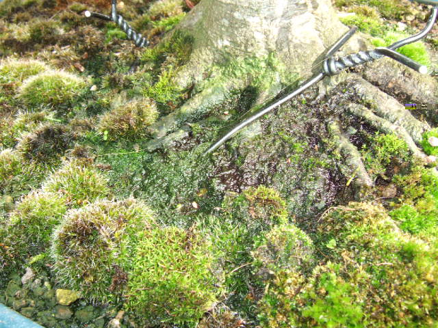 DSCF3181.JPG