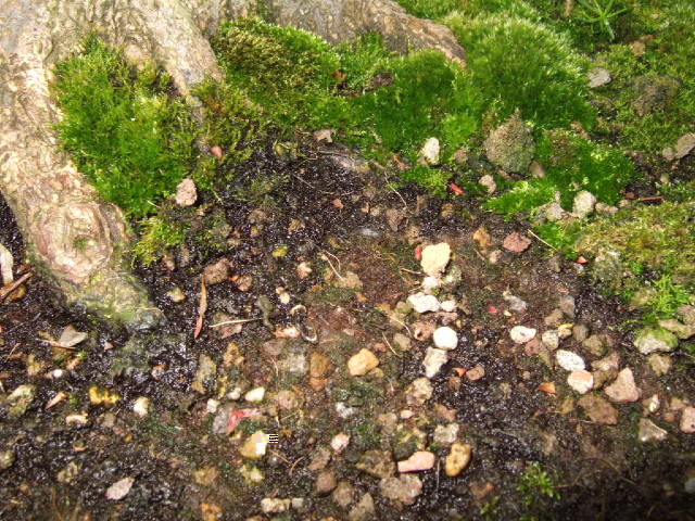 DSCF3182.JPG