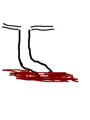 stamm.JPG