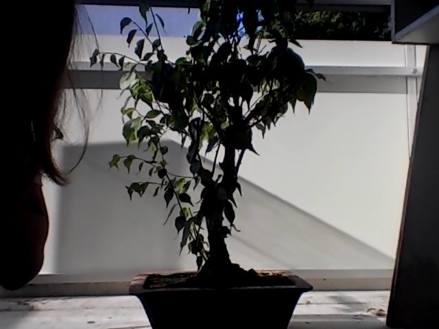 Snapshot_20140618_1.JPG