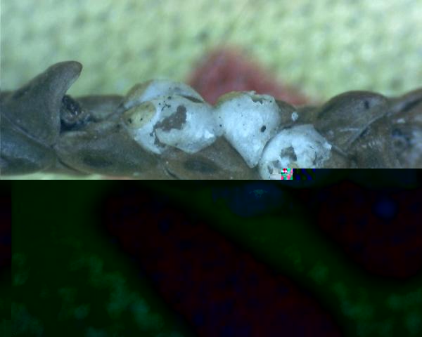 K640_14K1600_4.JPG