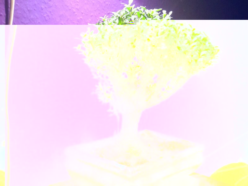 WP_20150106_002~2.jpg