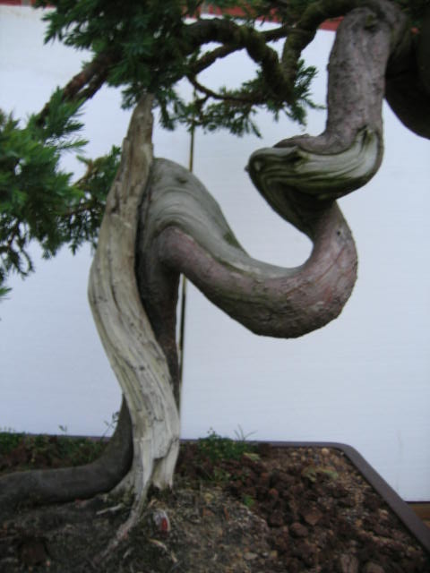IMG_1763.JPG