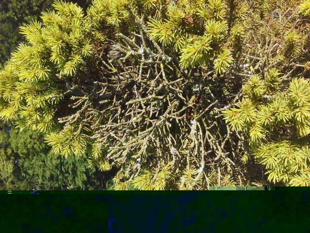 20150707_075338.jpg