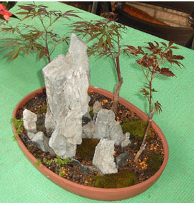roter_ahorn_1.8.2004ba.jpg