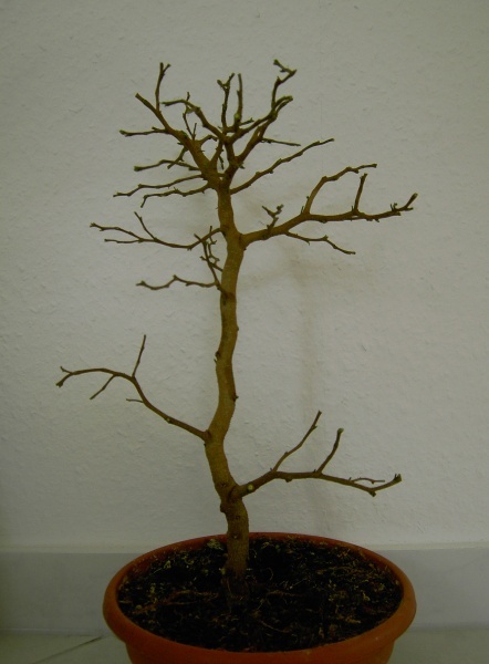 new_PICT4210.jpg