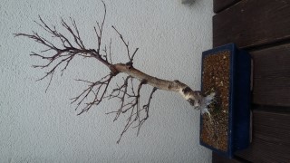 Vorderseite Februar 2016