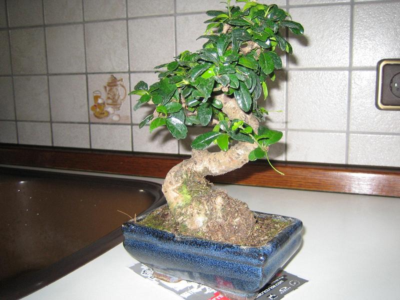 bild_003.jpg