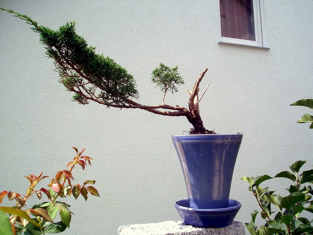 Hier ein Bild!