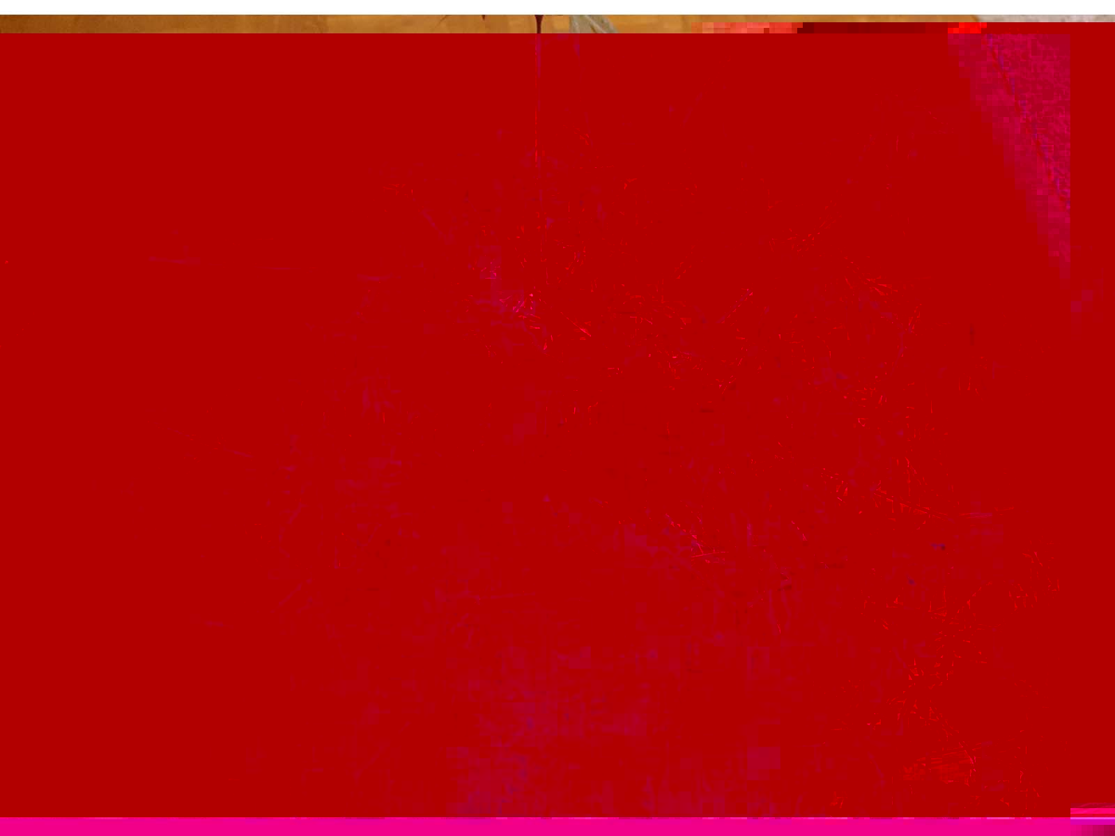 v gnbf dv.jpg