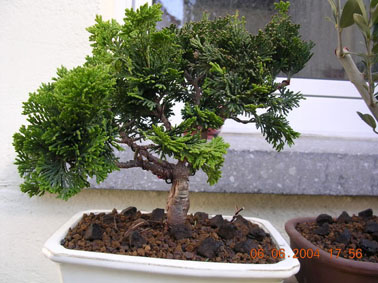 dscn0472klein_ebv.jpg