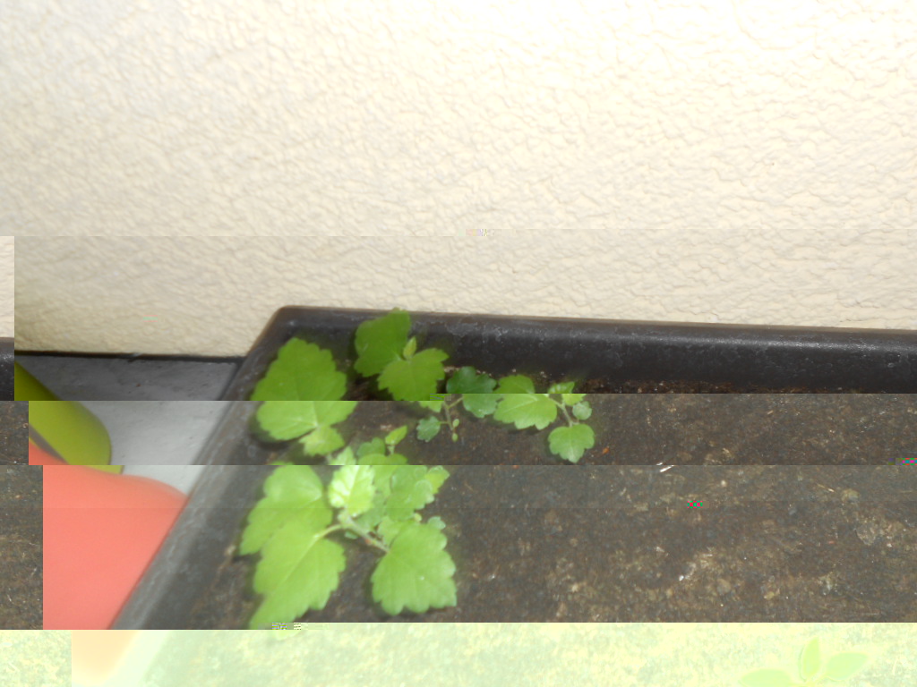 DSCN3683.JPG