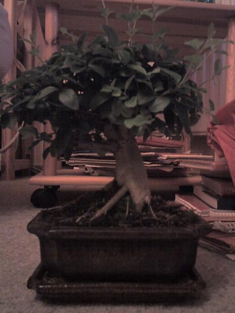 25_10_06_2137_953.jpg