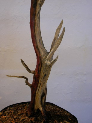 DSCN3062_Bildgröße ändern.JPG