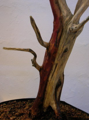 DSCN3061_Bildgröße ändern.JPG
