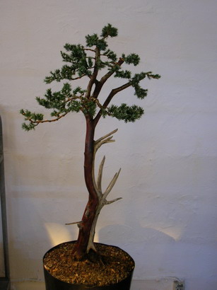 DSCN3057_Bildgröße ändern.JPG