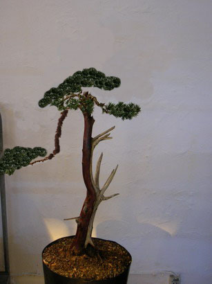 dscn3057_bildgroesse_aendern_674.jpg