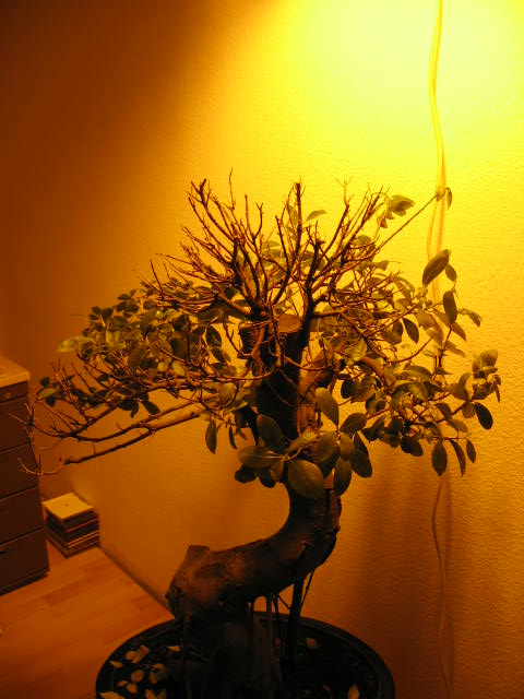 Bild 015.jpg