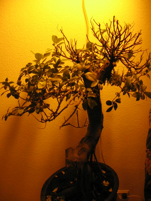 Bild 008.jpg