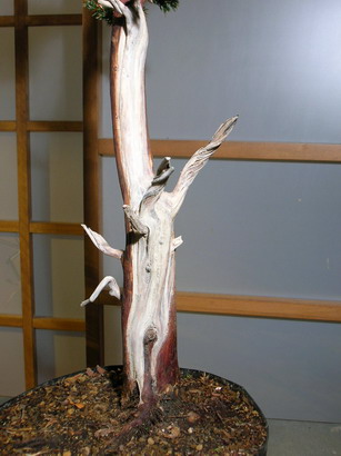 DSCN3173_Bildgröße ändern.JPG