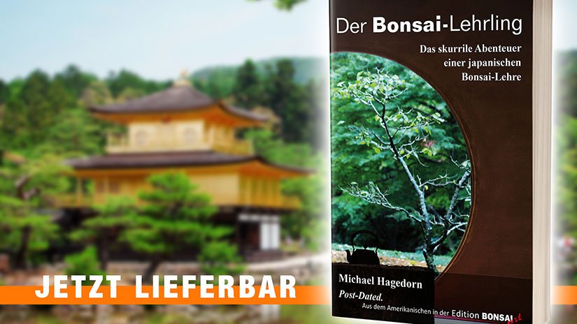 Hagedorn-Bonsai-Lehrling-t.jpg