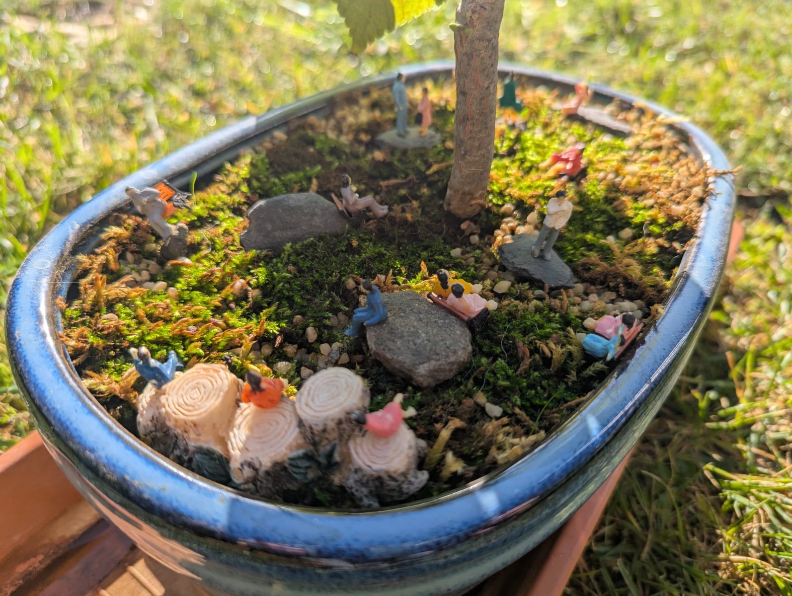 bonsai0009.jpeg