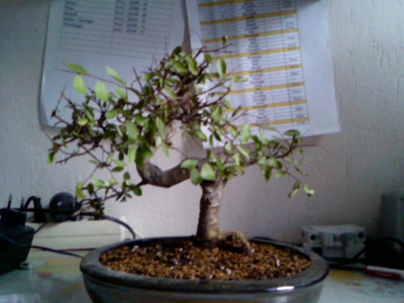 Photo-0013.jpg