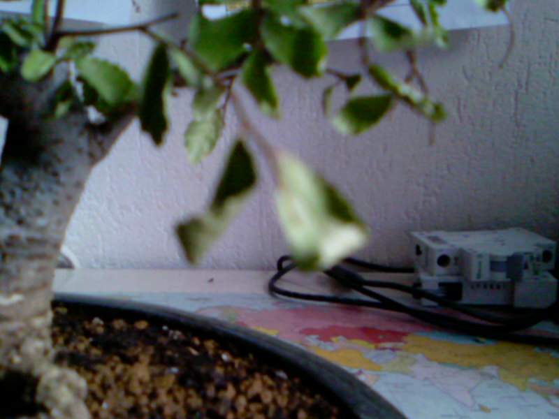 Photo-0014.jpg