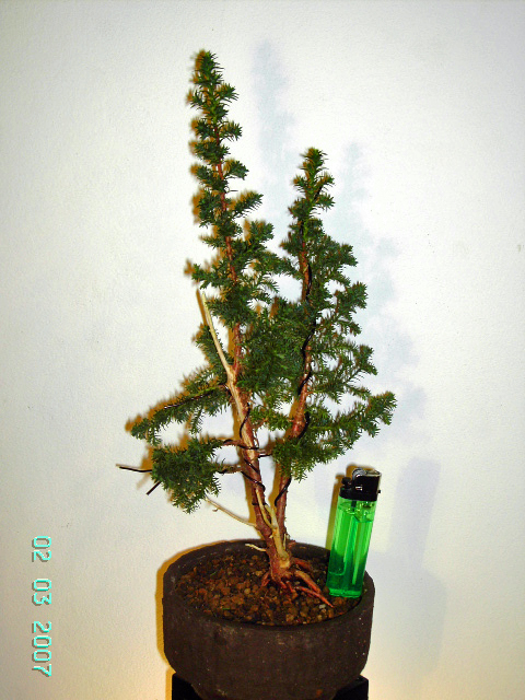 PICT0812_edited.JPG