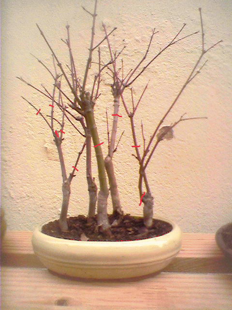 photo0045_tp.gif