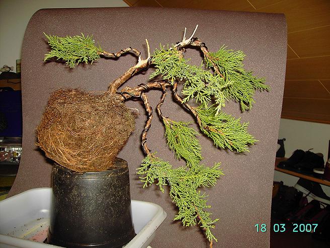 PICT0828.JPG