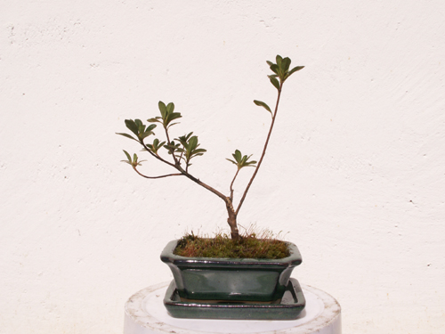PICT0003.jpg