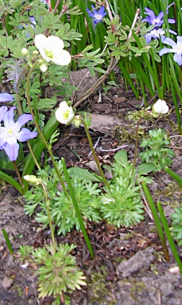 P7020042.JPG