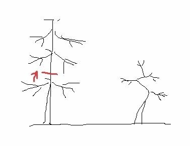 gestaltung.jpg