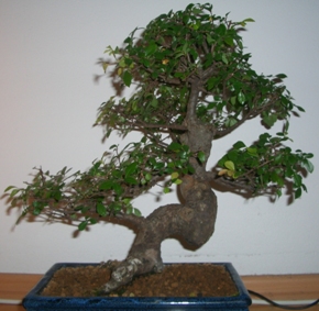 CIMG0879.jpg