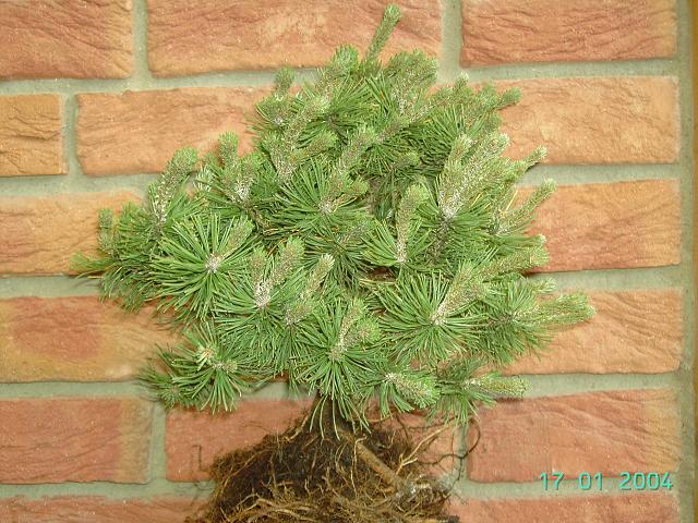 pict0879_110.jpg