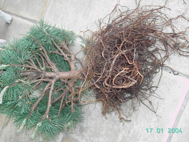 pict0880_901.jpg