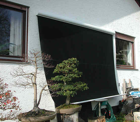 DSCN3983v.jpg