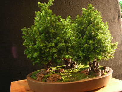 DSCN5299.jpg