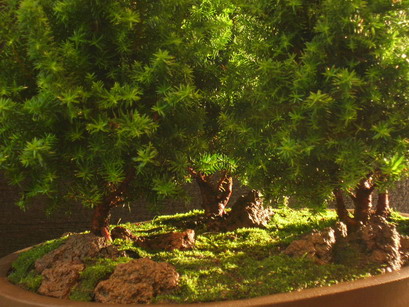 DSCN5298.jpg