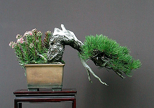 dscn8621v_ebv.jpg