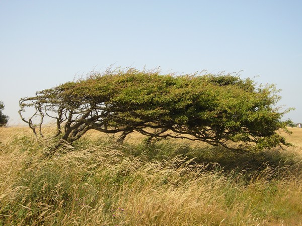 Wind konstant von West-Südwest ...