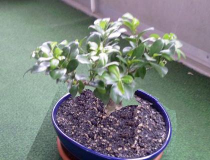 photo_tp.jpg
