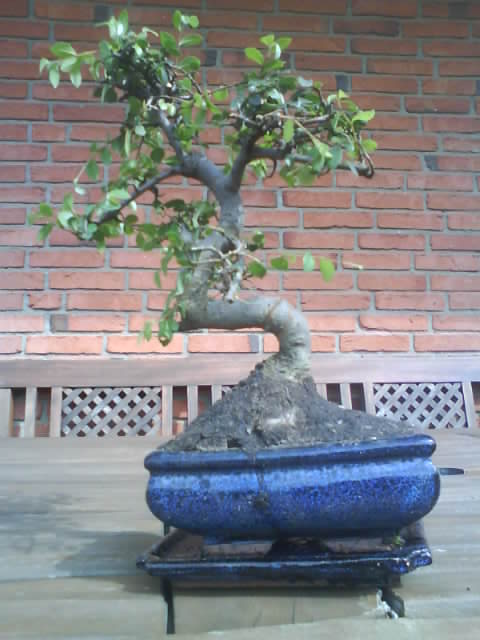 DSC00754.JPG