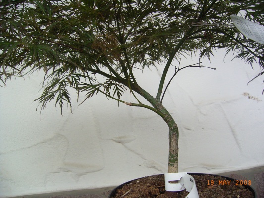 RIMG1522.jpg